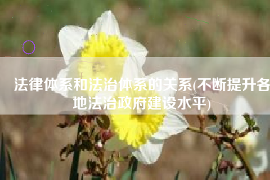 法律体系和法治体系的关系(不断提升各地法治政府建设水平)