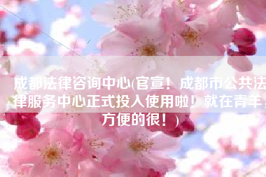成都法律咨询中心(官宣！成都市公共法律服务中心正式投入使用啦！就在青羊，方便的很！)