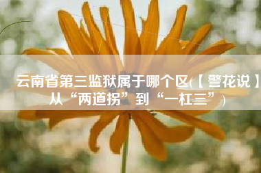 云南省第三监狱属于哪个区(【警花说】从“两道拐”到“一杠三”)