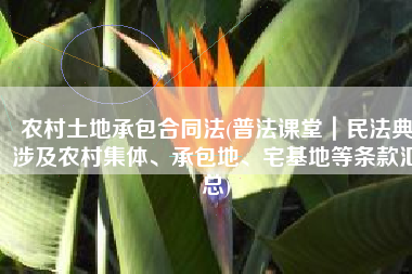 农村土地承包合同法(普法课堂｜民法典涉及农村集体、承包地、宅基地等条款汇总)