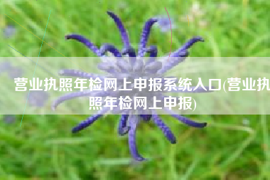 营业执照年检网上申报系统入口(营业执照年检网上申报)