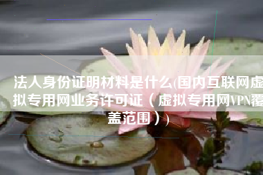 法人身份证明材料是什么(国内互联网虚拟专用网业务许可证（虚拟专用网VPN覆盖范围）)