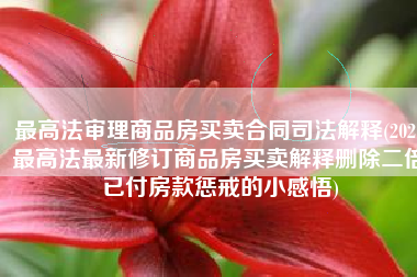 最高法审理商品房买卖合同司法解释(2021最高法最新修订商品房买卖解释删除二倍已付房款惩戒的小感悟)