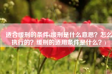 适合缓刑的条件(缓刑是什么意思？怎么执行的？缓刑的适用条件是什么？)