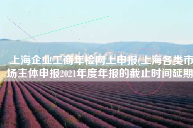 上海企业工商年检网上申报(上海各类市场主体申报2021年度年报的截止时间延期)