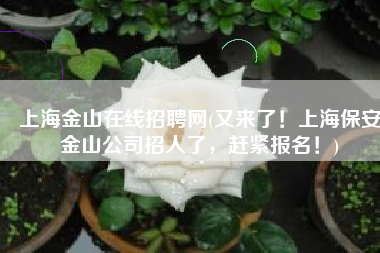 上海金山在线招聘网(又来了！上海保安金山公司招人了，赶紧报名！)