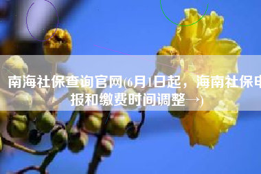 南海社保查询官网(6月1日起，海南社保申报和缴费时间调整→)