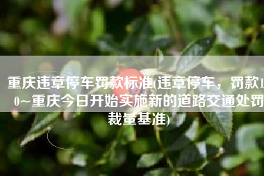 重庆违章停车罚款标准(违章停车，罚款100~重庆今日开始实施新的道路交通处罚裁量基准)