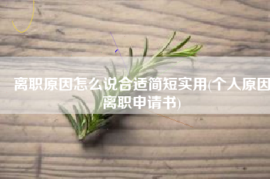 离职原因怎么说合适简短实用(个人原因离职申请书)