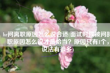 hr问离职原因怎么说合适(面试时候被问辞职原因怎么说才最恰当？原因只有1个，说法有很多)