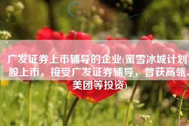 广发证券上市辅导的企业(蜜雪冰城计划A股上市，接受广发证券辅导，曾获高瓴、美团等投资)