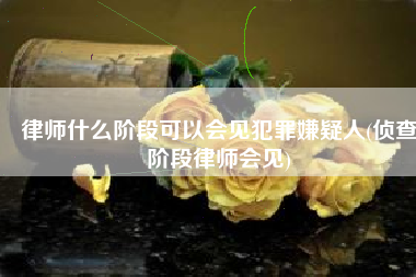 律师什么阶段可以会见犯罪嫌疑人(侦查阶段律师会见)