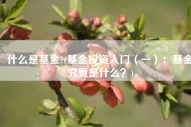 什么是基金?(基金投资入门（一）：基金究竟是什么？)