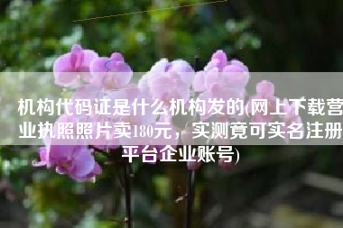 机构代码证是什么机构发的(网上下载营业执照照片卖180元，实测竟可实名注册平台企业账号)