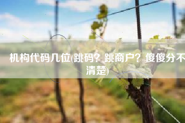 机构代码几位(跳码？跳商户？傻傻分不清楚)
