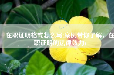 在职证明格式怎么写(案例带你了解，在职证明的法律效力)
