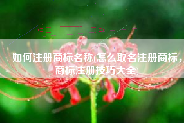 如何注册商标名称(怎么取名注册商标，商标注册技巧大全)