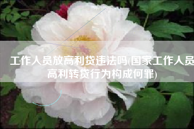 工作人员放高利贷违法吗(国家工作人员高利转贷行为构成何罪)