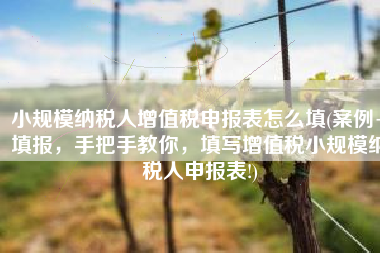 小规模纳税人增值税申报表怎么填(案例+填报，手把手教你，填写增值税小规模纳税人申报表!)