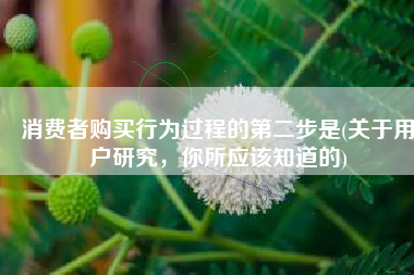 消费者购买行为过程的第二步是(关于用户研究，你所应该知道的)