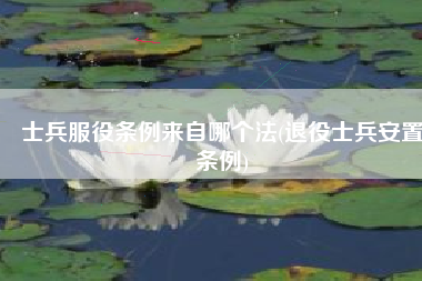 士兵服役条例来自哪个法(退役士兵安置条例)