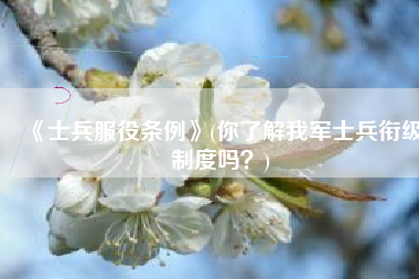 《士兵服役条例》(你了解我军士兵衔级制度吗？)