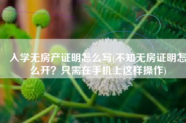 入学无房产证明怎么写(不知无房证明怎么开？只需在手机上这样操作)