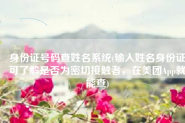 身份证号码查姓名系统(输入姓名身份证可了解是否为密切接触者，在美团App就能查)