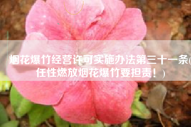 烟花爆竹经营许可实施办法第三十一条(任性燃放烟花爆竹要担责！)