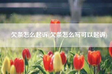 欠条怎么起诉(欠条怎么写可以起诉)