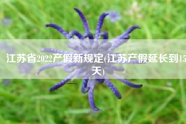 江苏省2022产假新规定(江苏产假延长到158天)