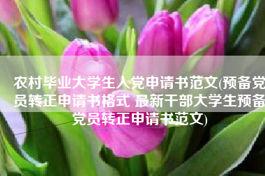 农村毕业大学生入党申请书范文(预备党员转正申请书格式 最新干部大学生预备党员转正申请书范文)