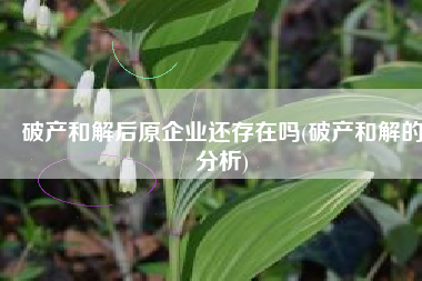 破产和解后原企业还存在吗(破产和解的分析)