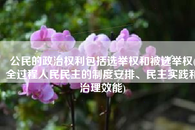 公民的政治权利包括选举权和被选举权(全过程人民民主的制度安排、民主实践和治理效能)