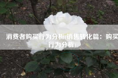 消费者购买行为分析(销售转化篇：购买行为分析)