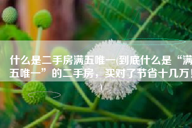 什么是二手房满五唯一(到底什么是“满五唯一”的二手房，买对了节省十几万！)