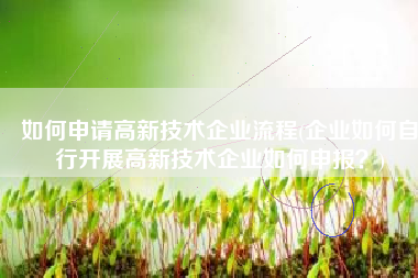 如何申请高新技术企业流程(企业如何自行开展高新技术企业如何申报？)