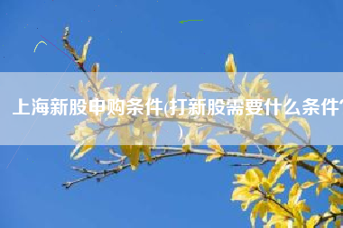 上海新股申购条件(打新股需要什么条件？)