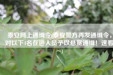 泰安网上通缉令(泰安警方再发通缉令，对以下4名在逃人员予以悬赏通缉！速看~)