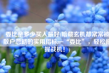 委比是多少买入最好(暗藏玄机却常常被散户忽略的实用指标—“委比”，轻松把握战机！)
