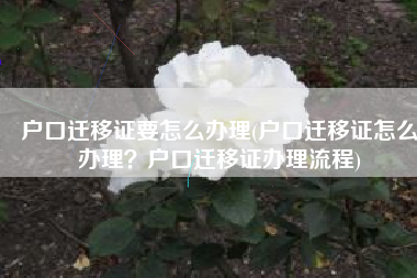 户口迁移证要怎么办理(户口迁移证怎么办理？户口迁移证办理流程)