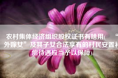 农村集体经济组织股权证书有啥用(​“外嫁女”及其子女合法享有的村民安置补偿待遇应当予以保障)