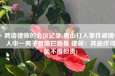 聘请律师的会议记录(唐山打人事件被捕9人中一男子曾阻拦施暴 律师：其最终可能不用担责)