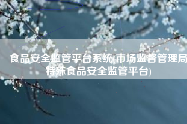 食品安全监管平台系统(市场监督管理局特殊食品安全监管平台)