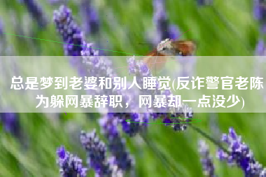 总是梦到老婆和别人睡觉(反诈警官老陈：为躲网暴辞职，网暴却一点没少)