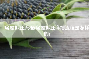 房屋拆迁流程(房屋拆迁详细流程是怎样的)