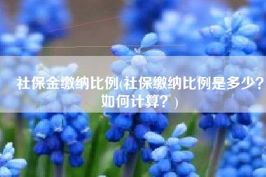 社保金缴纳比例(社保缴纳比例是多少？如何计算？)