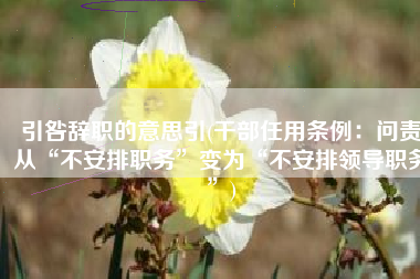 引咎辞职的意思引(干部任用条例：问责从“不安排职务”变为“不安排领导职务”)