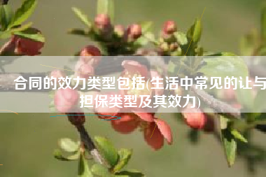 合同的效力类型包括(生活中常见的让与担保类型及其效力)