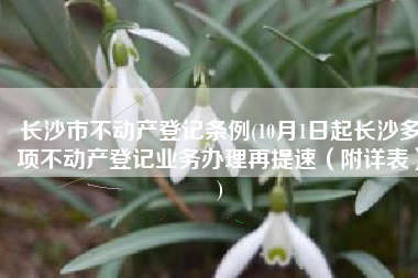 长沙市不动产登记条例(10月1日起长沙多项不动产登记业务办理再提速（附详表）)